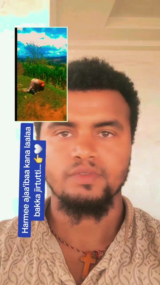 TikTok video thumbnail by gaanfuree23
