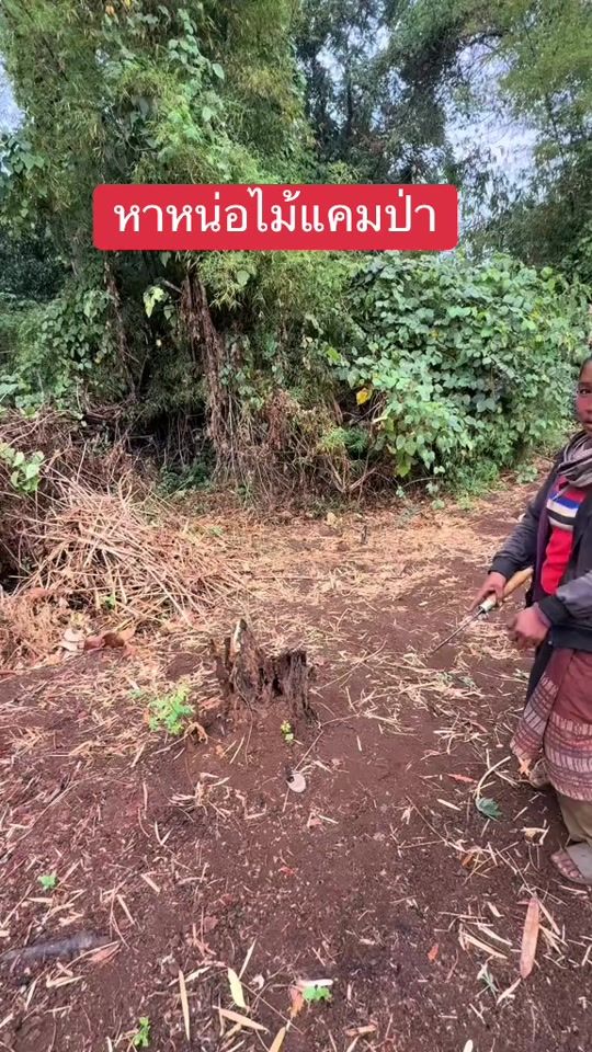TikTok video thumbnail by mrom.mam