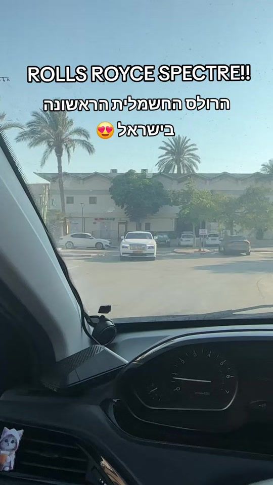 TikTok video thumbnail by shwartz_or
