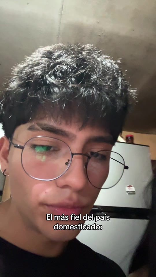 TikTok video thumbnail by alexfiell