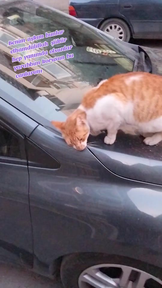TikTok video thumbnail by naime.sultan2