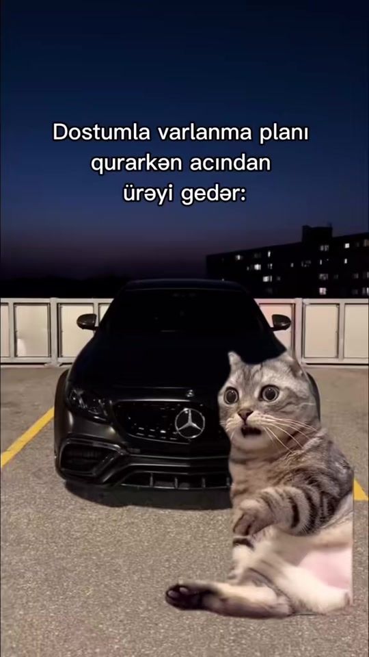 TikTok video thumbnail by yumor_time95