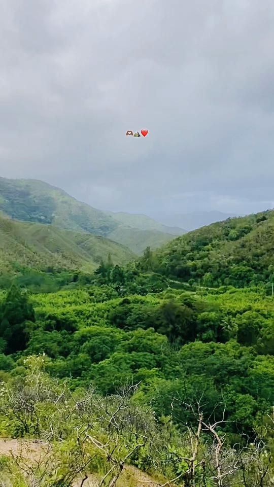 TikTok video thumbnail by srvlknmg4