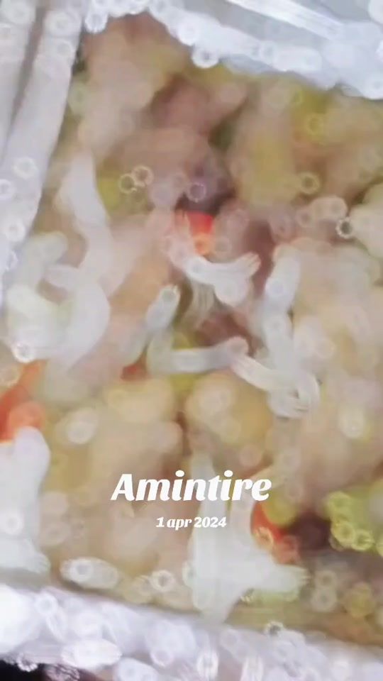 TikTok video thumbnail by norocvasea