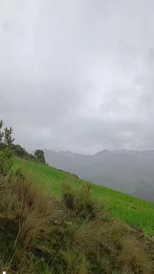 TikTok video thumbnail by wiliam4801