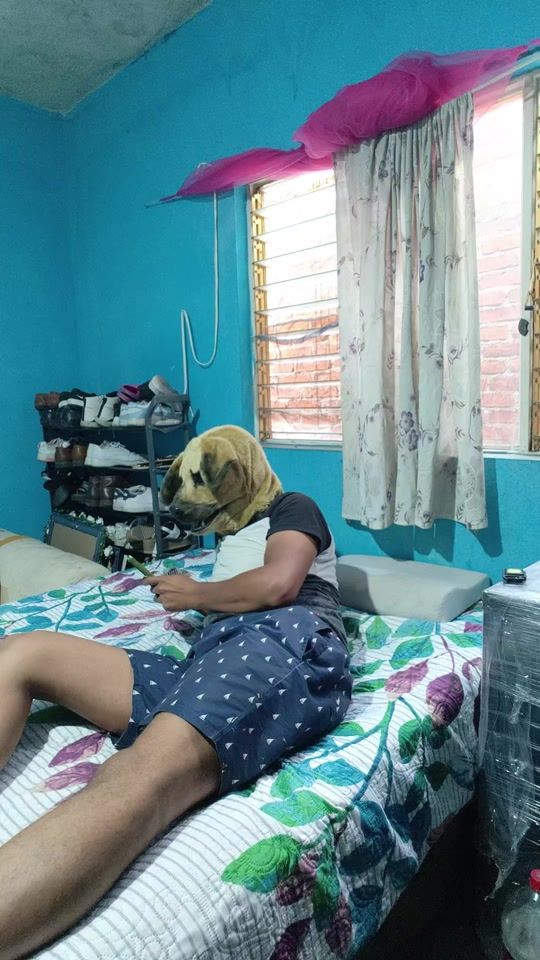 TikTok video thumbnail by perrocarnavalero