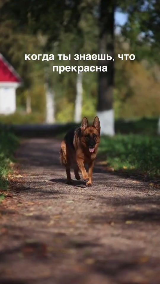 TikTok video thumbnail by niuta073