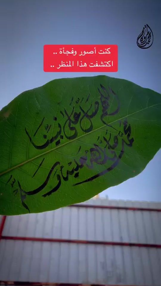 TikTok video thumbnail by hesham_ma