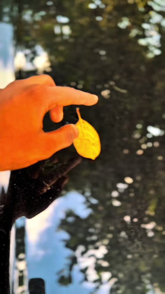 TikTok video thumbnail by ductale69
