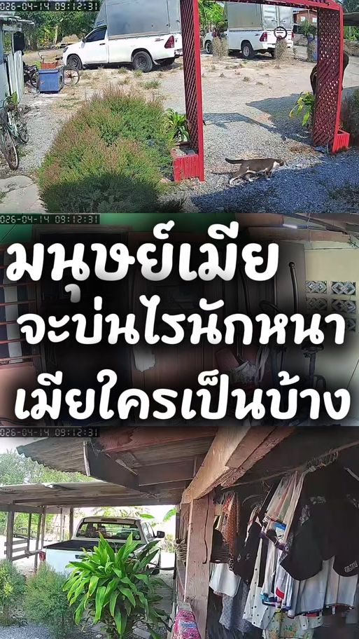 TikTok video thumbnail by anan_psl