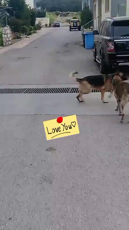 TikTok video thumbnail by nanigamara