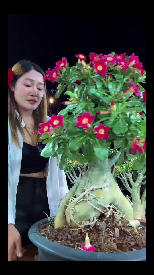 TikTok video thumbnail by oaoaoa1987