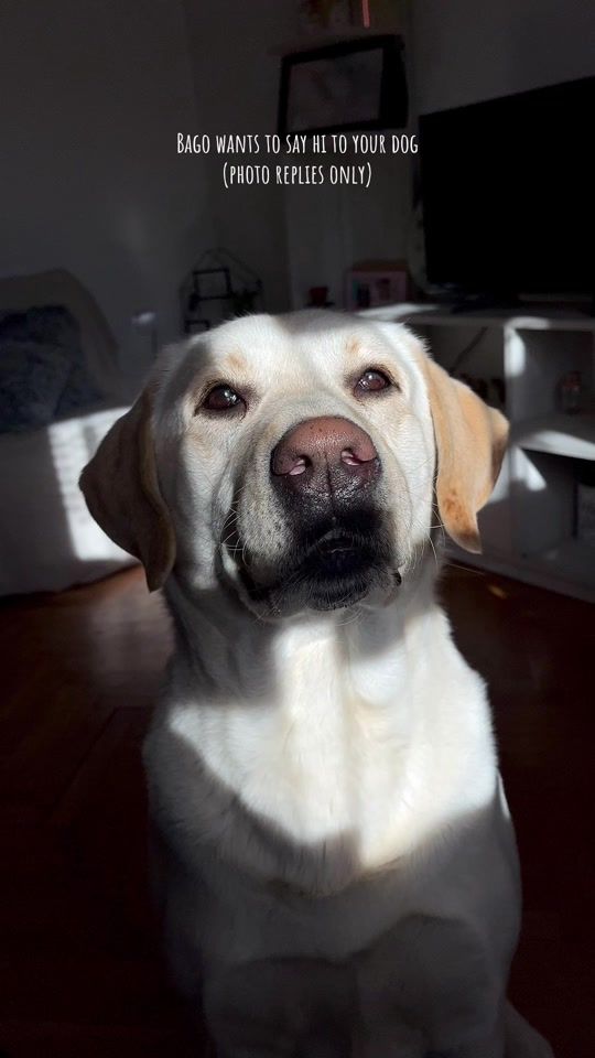 TikTok video thumbnail by manojlovic7
