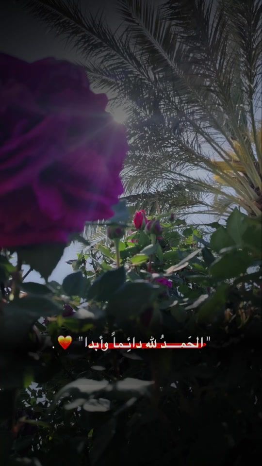 TikTok video thumbnail by k91_ha