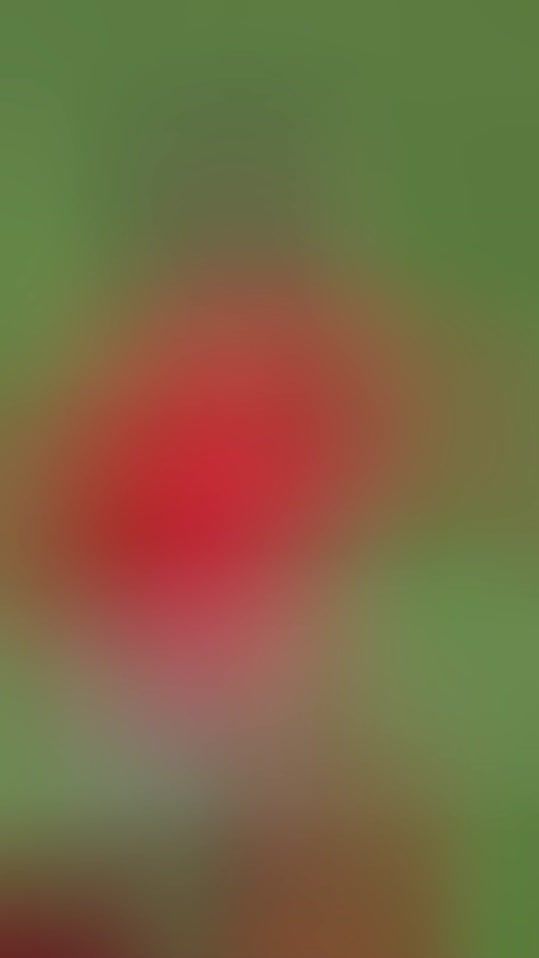 TikTok video thumbnail by mahmodalshatory