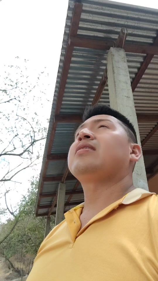 TikTok video thumbnail by nelson_vivas2