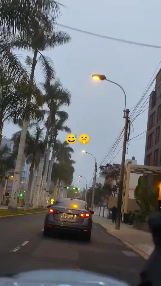 TikTok video thumbnail by arashelyvas