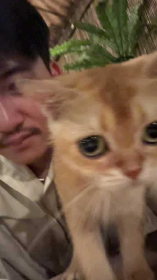 TikTok video thumbnail by sampheaktraa