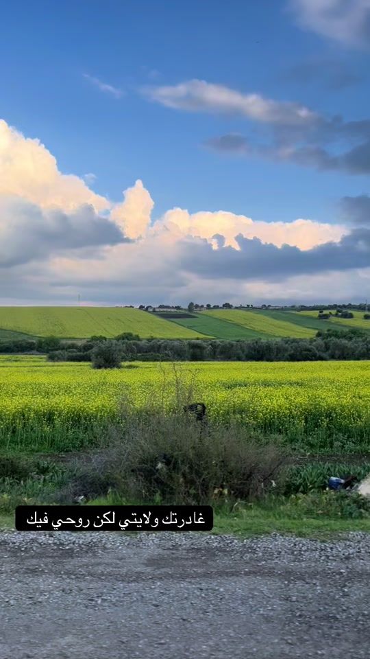 TikTok video thumbnail by drmarwa230