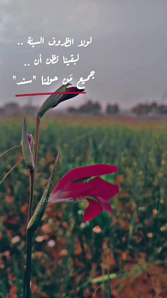 TikTok video thumbnail by amal_h99