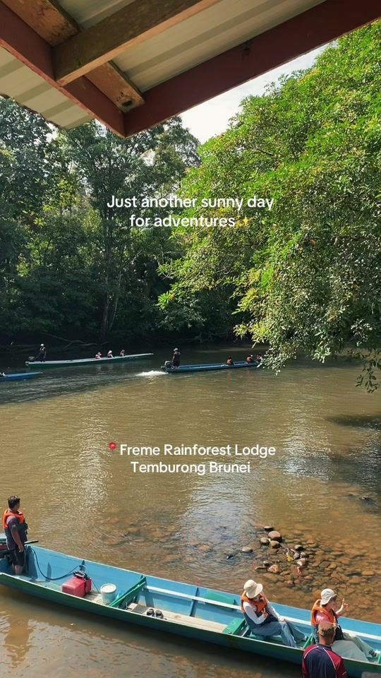 TikTok video thumbnail by freme_rainforest_lodge