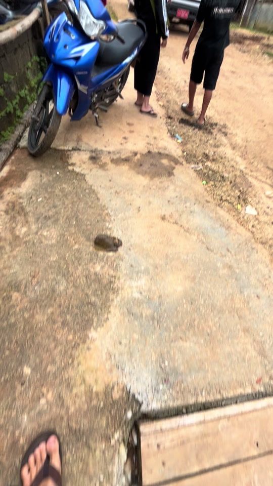 TikTok video thumbnail by arrkham54