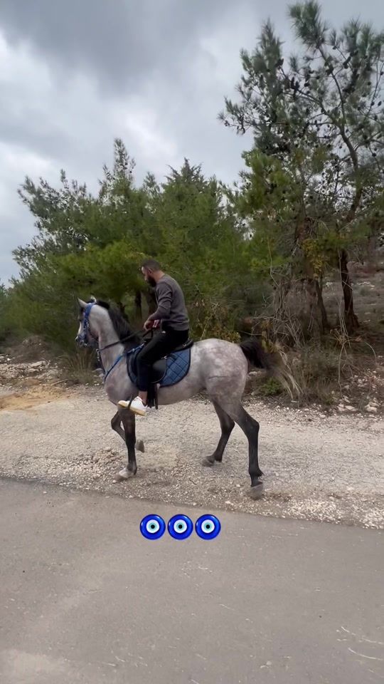 TikTok video thumbnail by ayoubdargham333