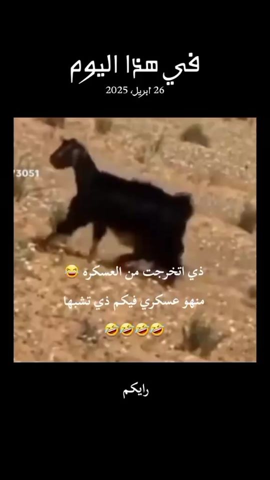 TikTok video thumbnail by 711_535
