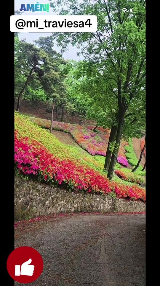 TikTok video thumbnail by mi_traviesa4