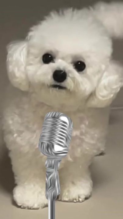TikTok video thumbnail by merch_l