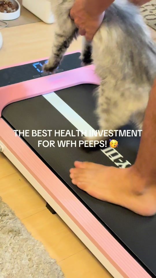 TikTok video thumbnail by dailysnapsph