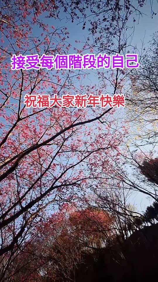 TikTok video thumbnail by user831471812096