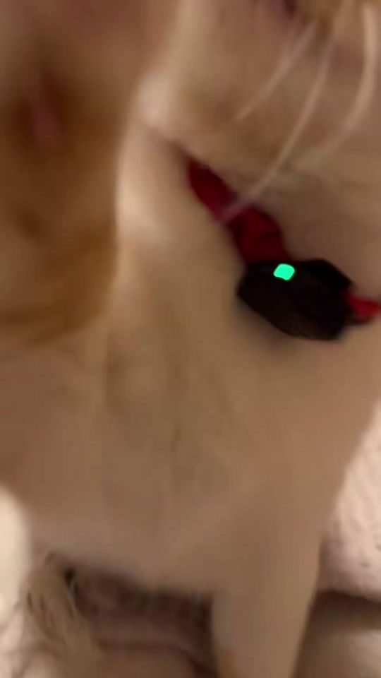 TikTok video thumbnail by giz_kohak