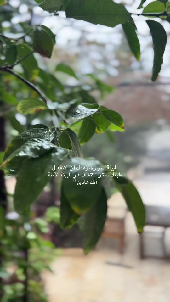 TikTok video thumbnail by rokaya_odeh