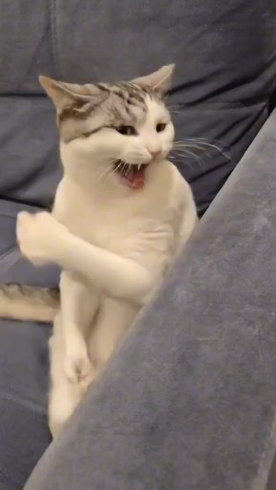 TikTok video thumbnail by _aboganab