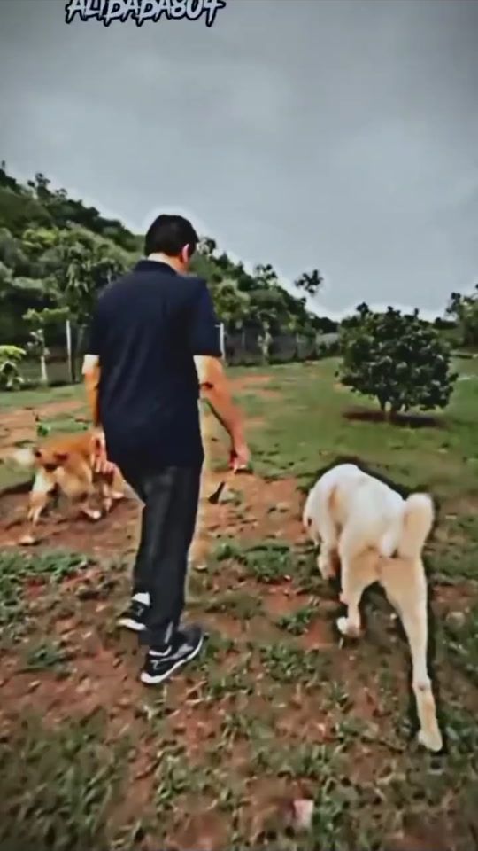 TikTok video thumbnail by haddiedater4