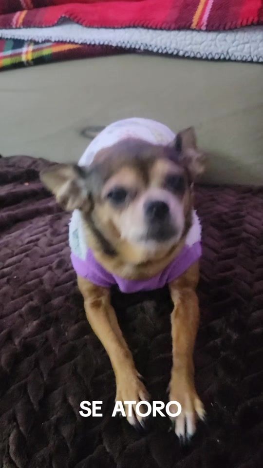 TikTok video thumbnail by mariavera0