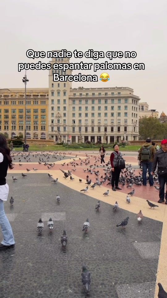 TikTok video thumbnail by mamaempresaria_isabel