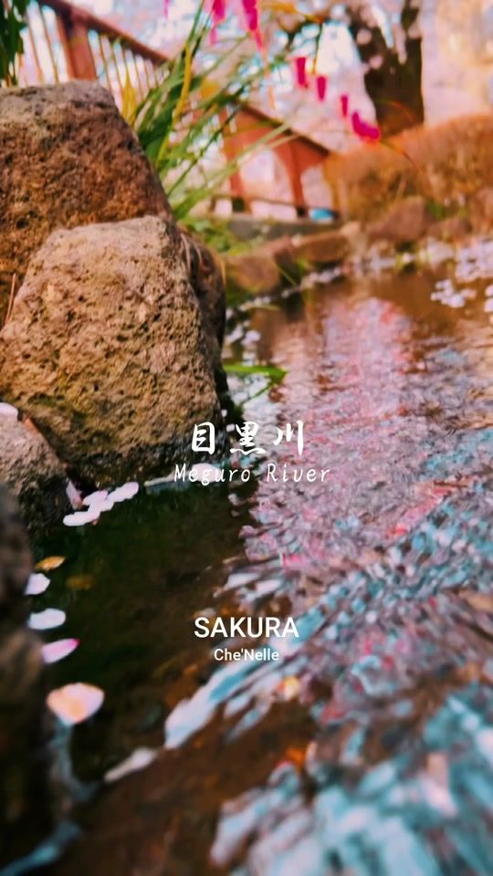 TikTok video thumbnail by chenelleworldjapan