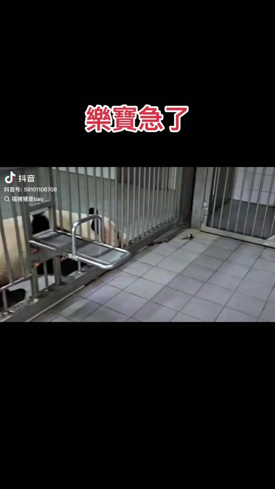 TikTok video thumbnail by ee11778899