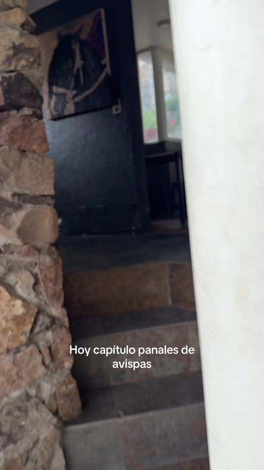TikTok video thumbnail by javrio