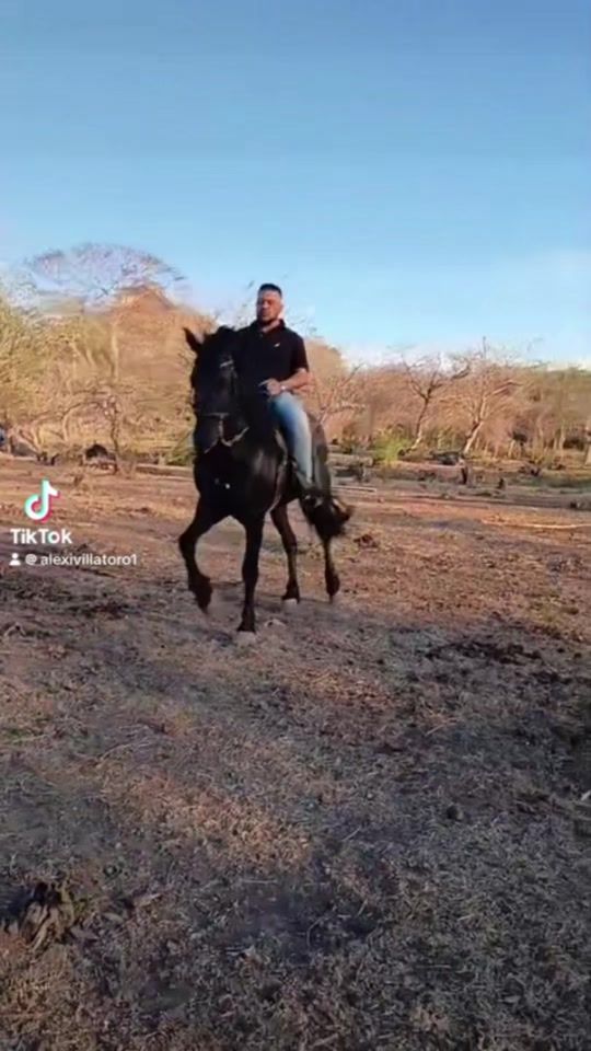 TikTok video thumbnail by alexivillatoro1