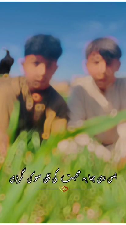 TikTok video thumbnail by sufyanafridi92