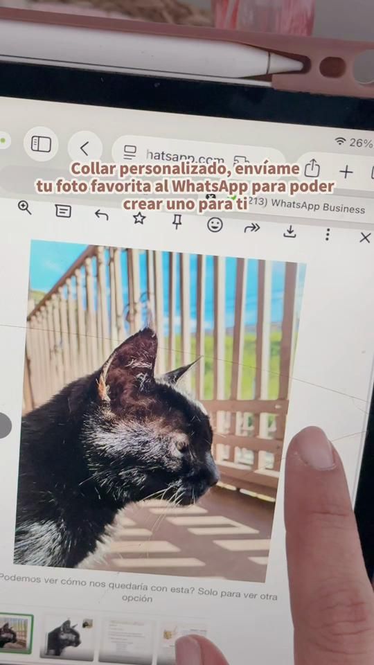 TikTok video thumbnail by arilu_accesorios