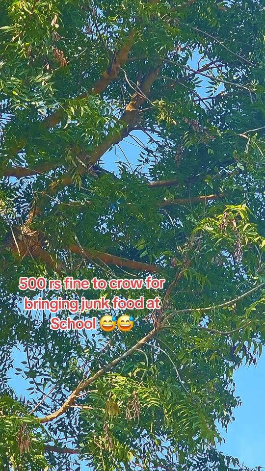 TikTok video thumbnail by soltiramesh