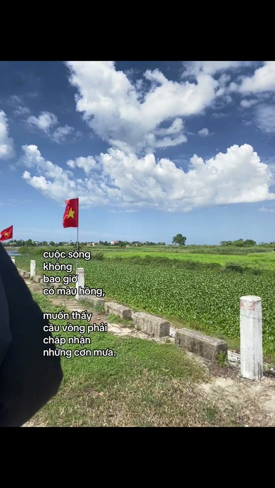 TikTok video thumbnail by nowctepmq