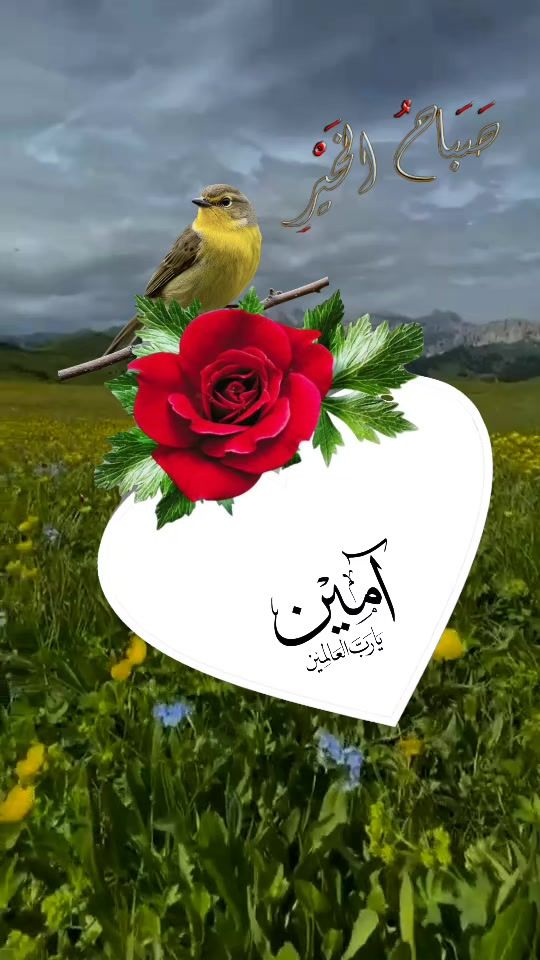 TikTok video thumbnail by us1443