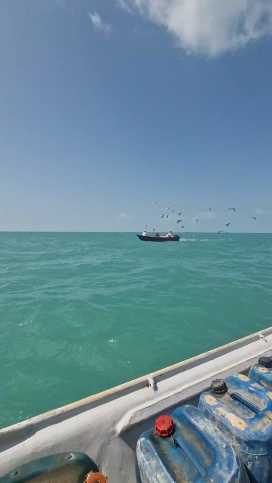 TikTok video thumbnail by s.a.baloch67