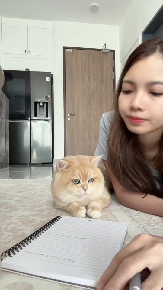 TikTok video thumbnail by two_sided8