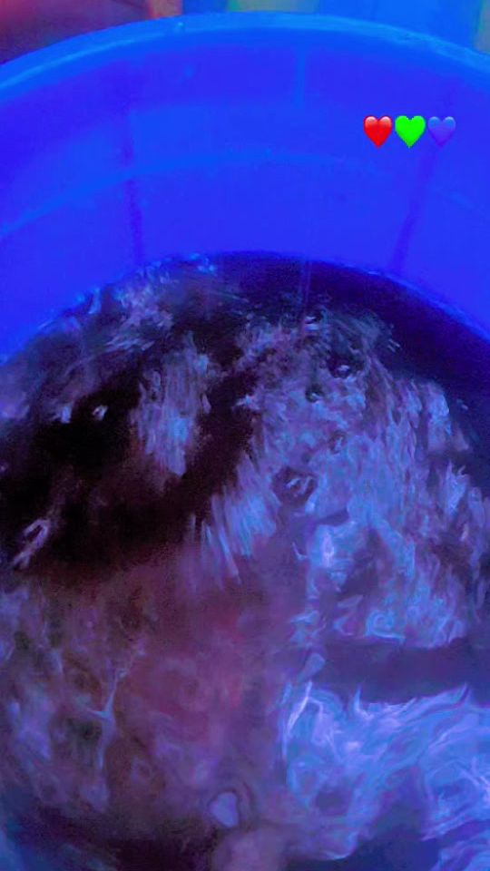 TikTok video thumbnail by user3785204716583